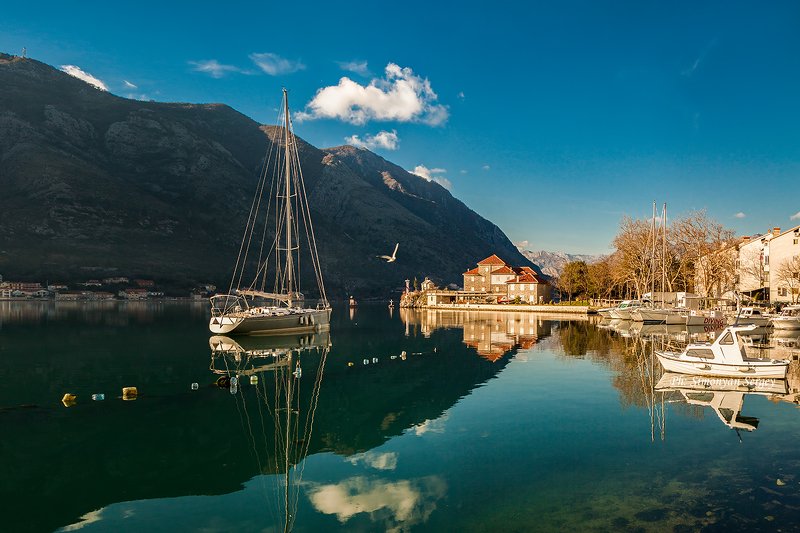 Доброе утро! фото превью