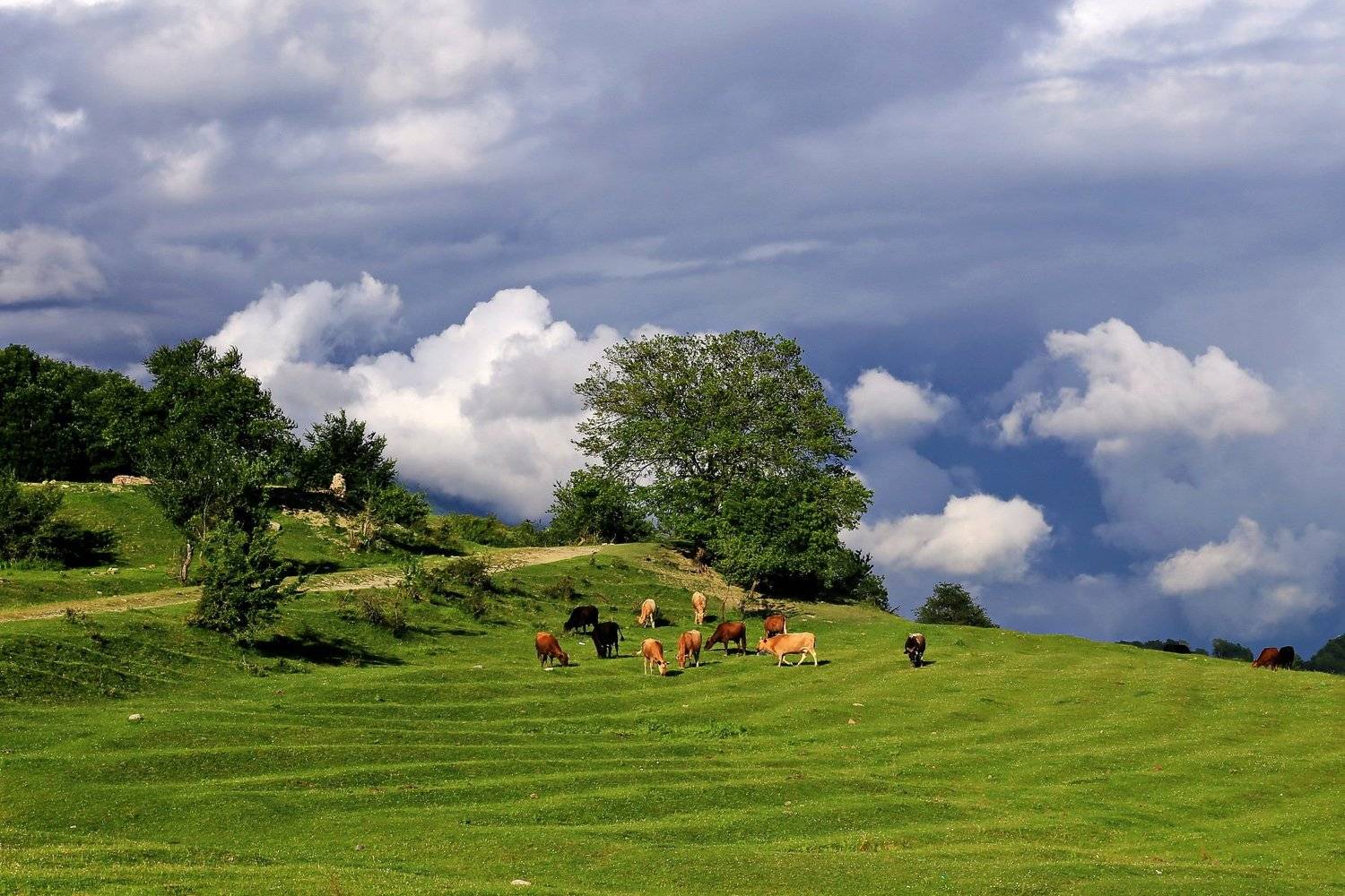 Кавказ. с. Лесное., Евгений Никишин