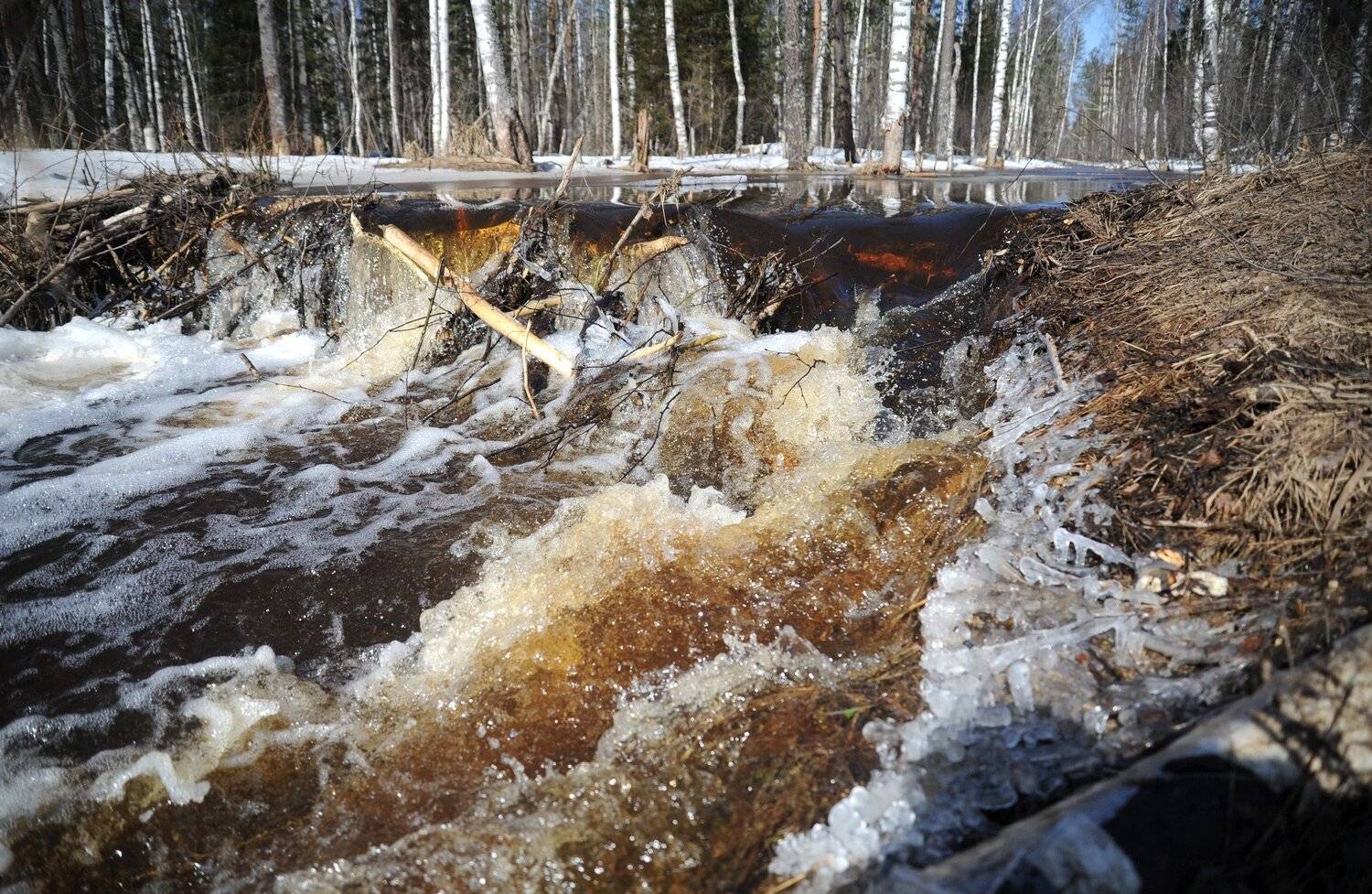 , Дарья Васильева