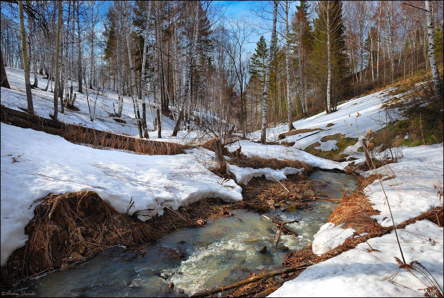 , Андрей Шумилин