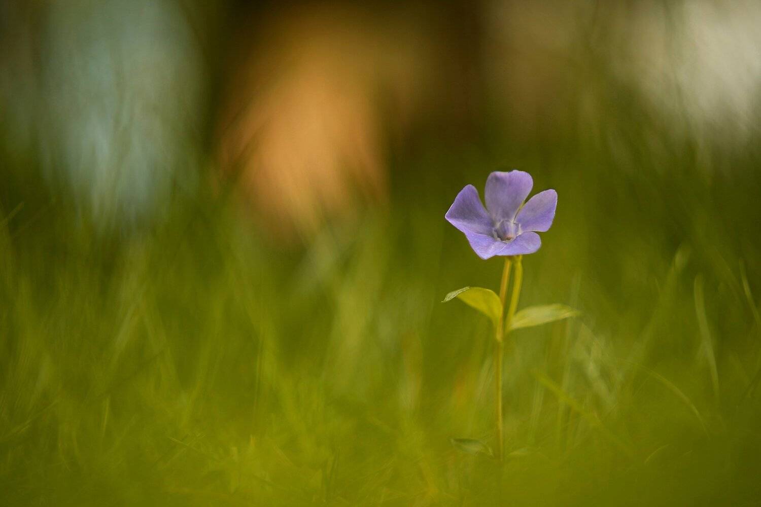, Эдуард Колобошников