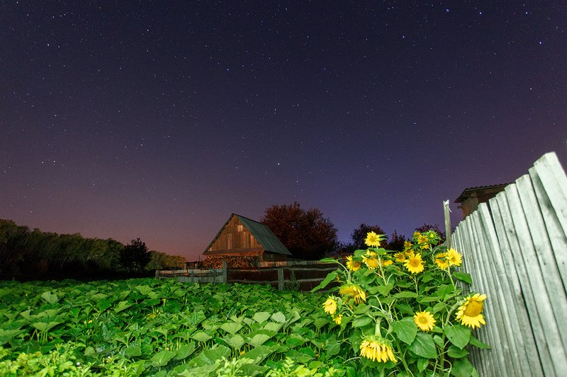 * фото превью