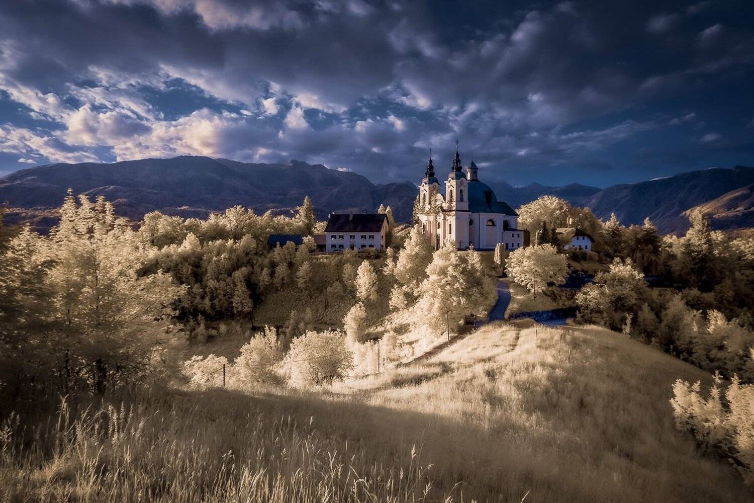 , Pawel Uchorczak