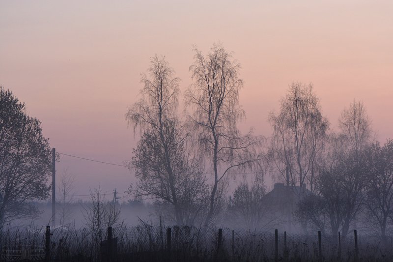 пейзаж, туман, рассвет, акварель, деревня Рассвет апреля фото превью