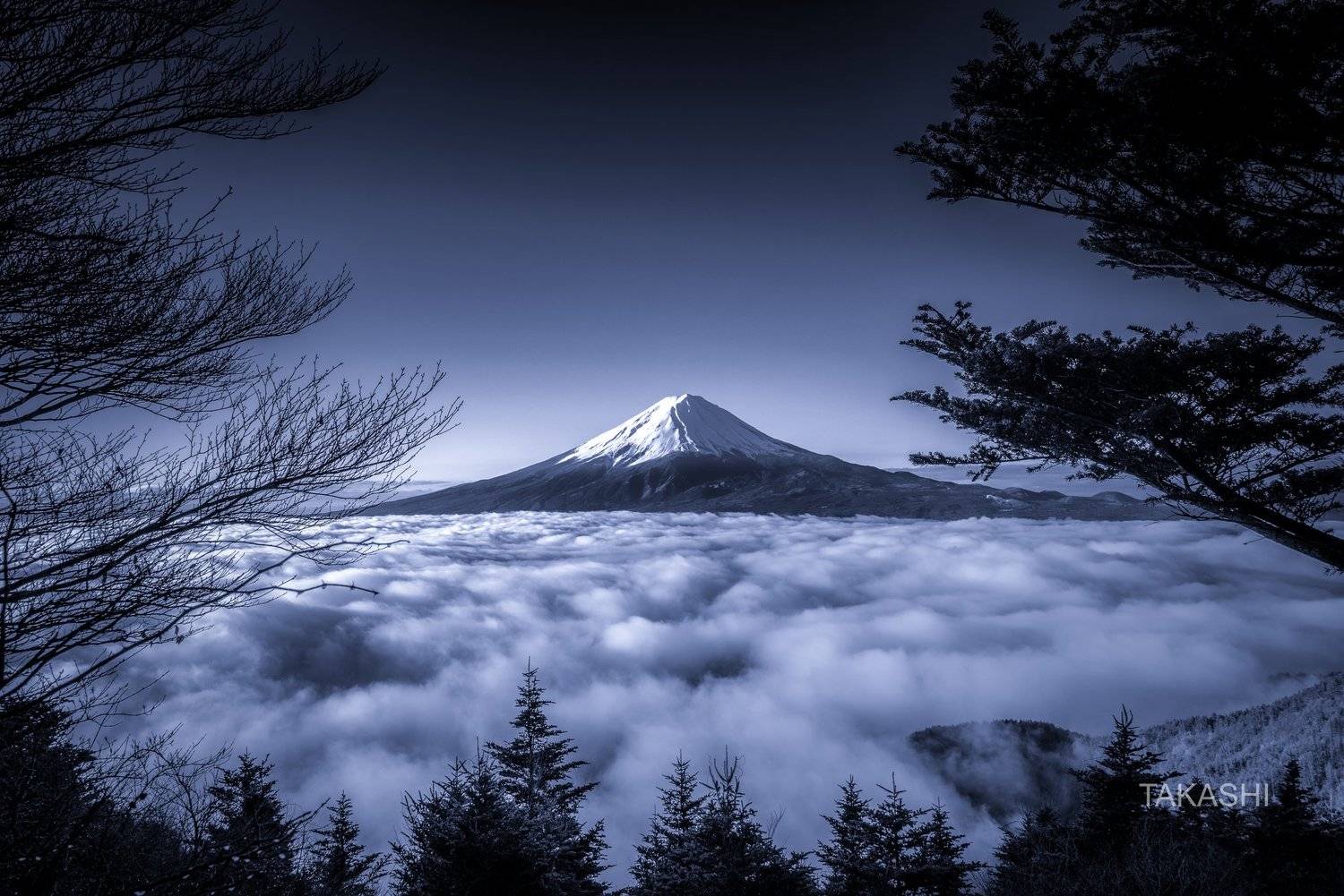 Fuji,Japan,mountain,forest,cloud,tree,, Takashi