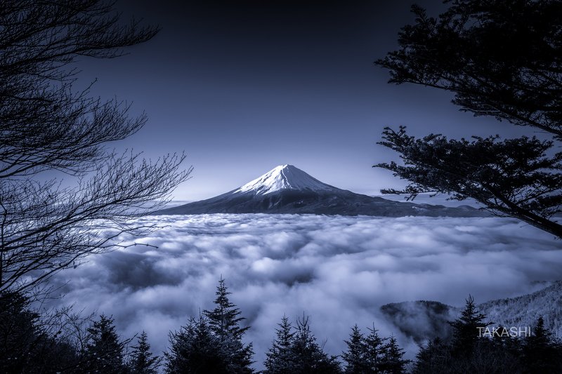 Fuji,Japan,mountain,forest,cloud,tree, Beyond the Forest фото превью