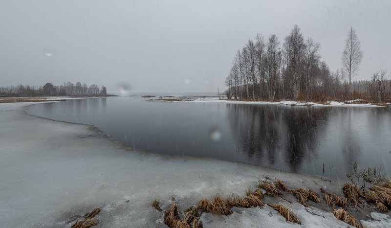 под весенним дождиком фото превью
