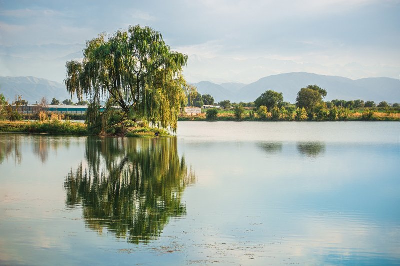 Фотография № 93.4 фото превью