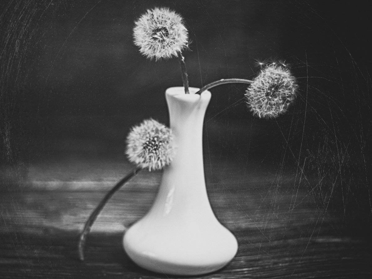 , Татьяна Аверина