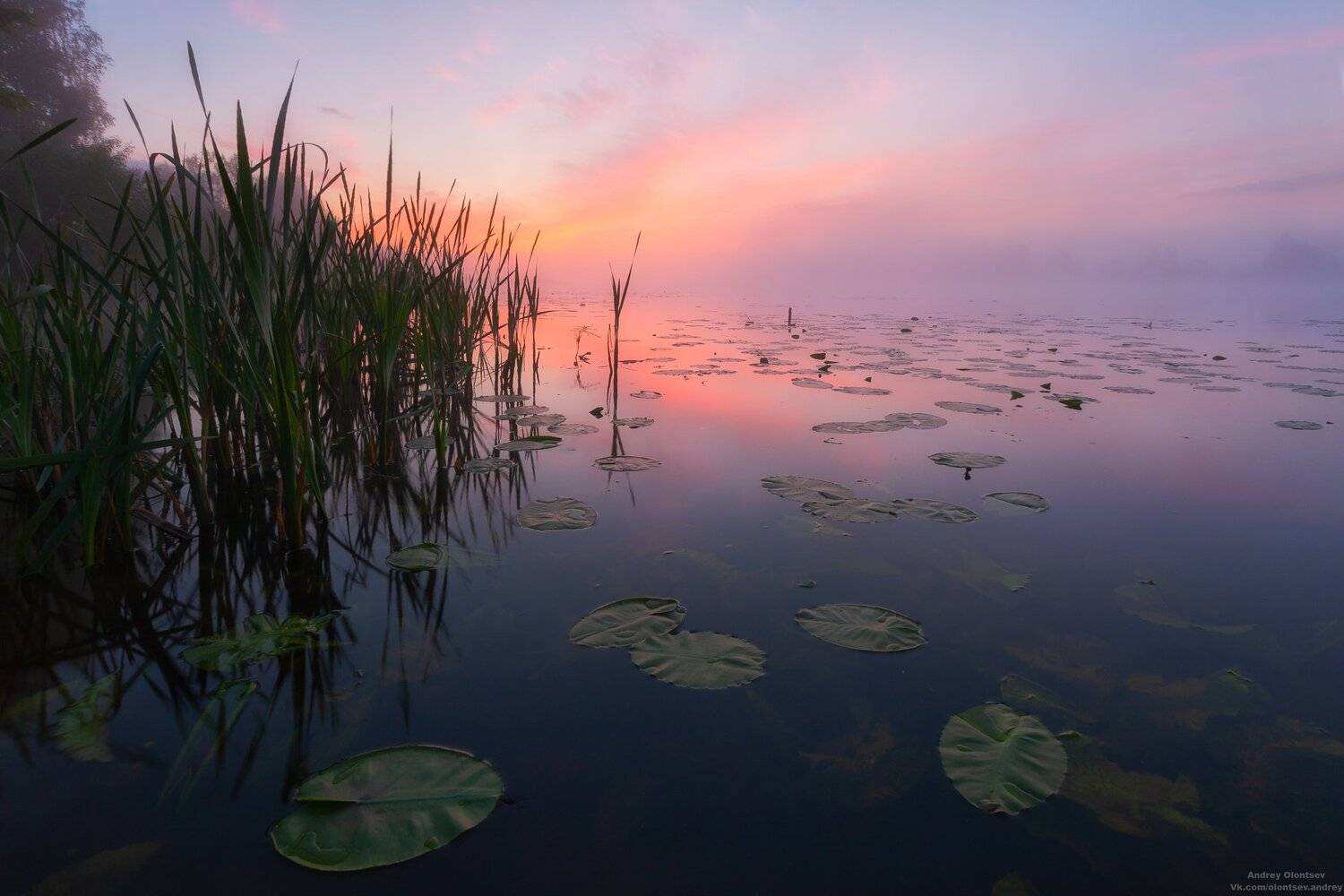 солнце, россия, рассвет, природа, подмосковье, погода, пейзажи, пейзаж, отражение, наукоград, красота, дубна, вода, весна, weather, water, spring, russia, reflection, naukograd, nature, moscow, landscape, dawn, canon, dubna, beauty, Андрей Олонцев