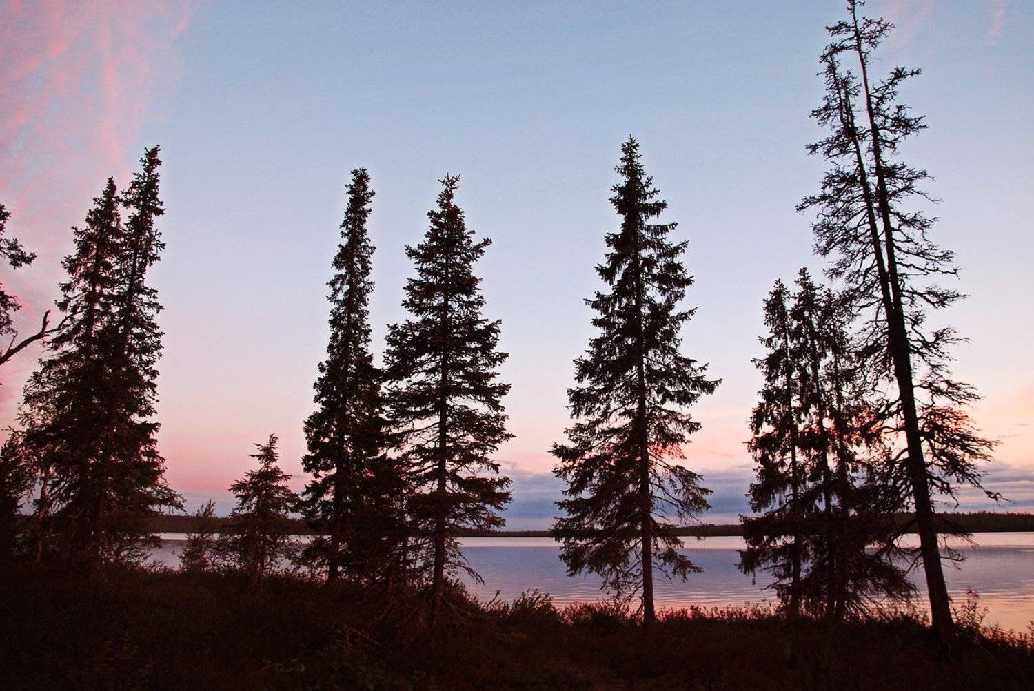 кольский, закат, вода, белые ночи, сосны, Лопухов Сергей