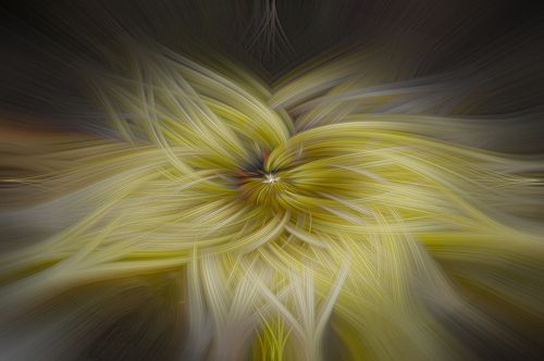 Abstraction