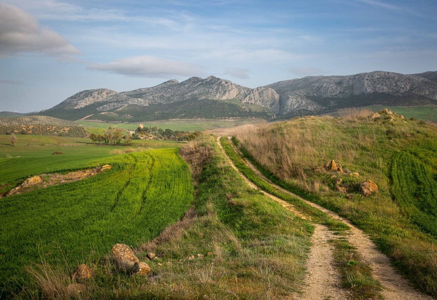 , Алекс Римский