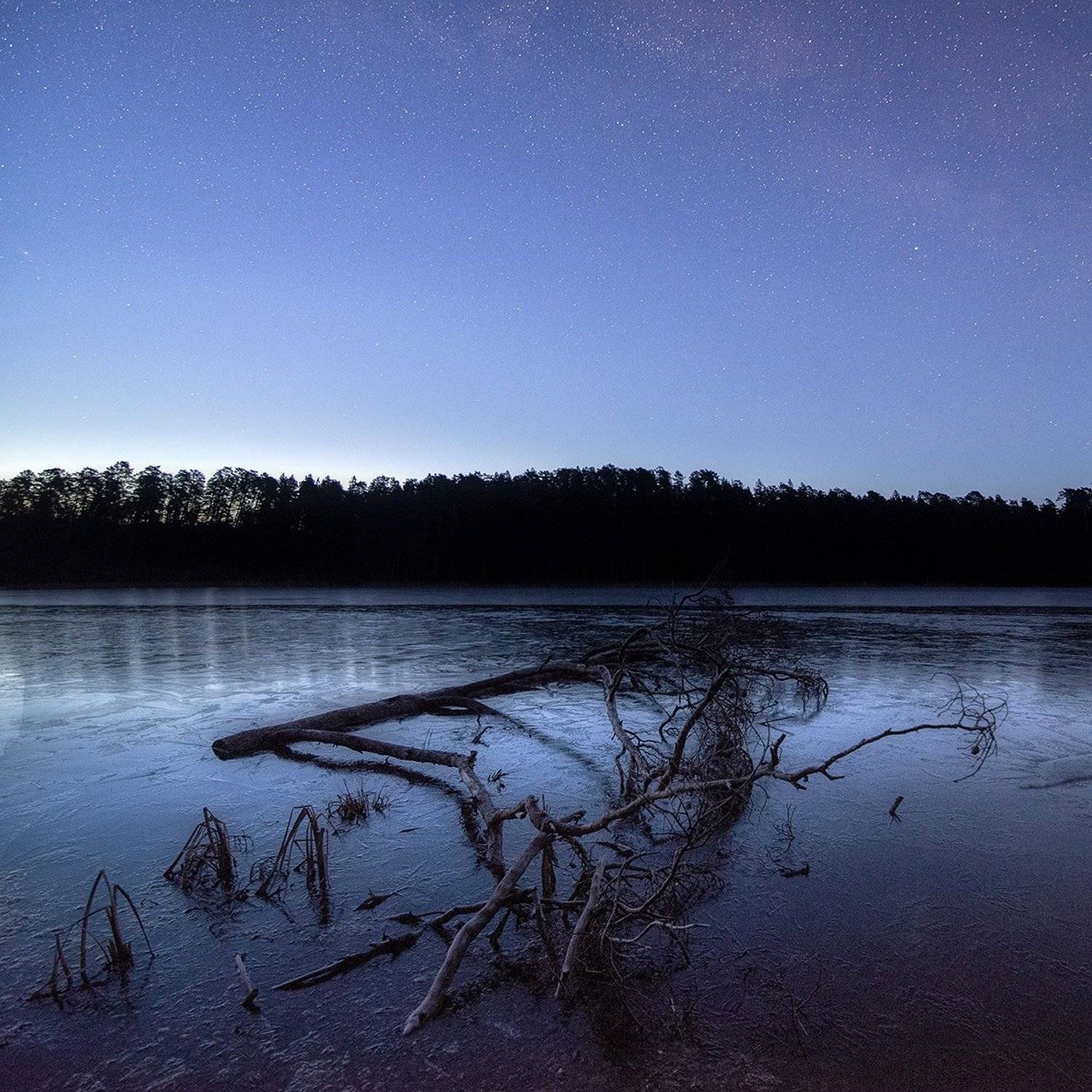 , Федотов Антон