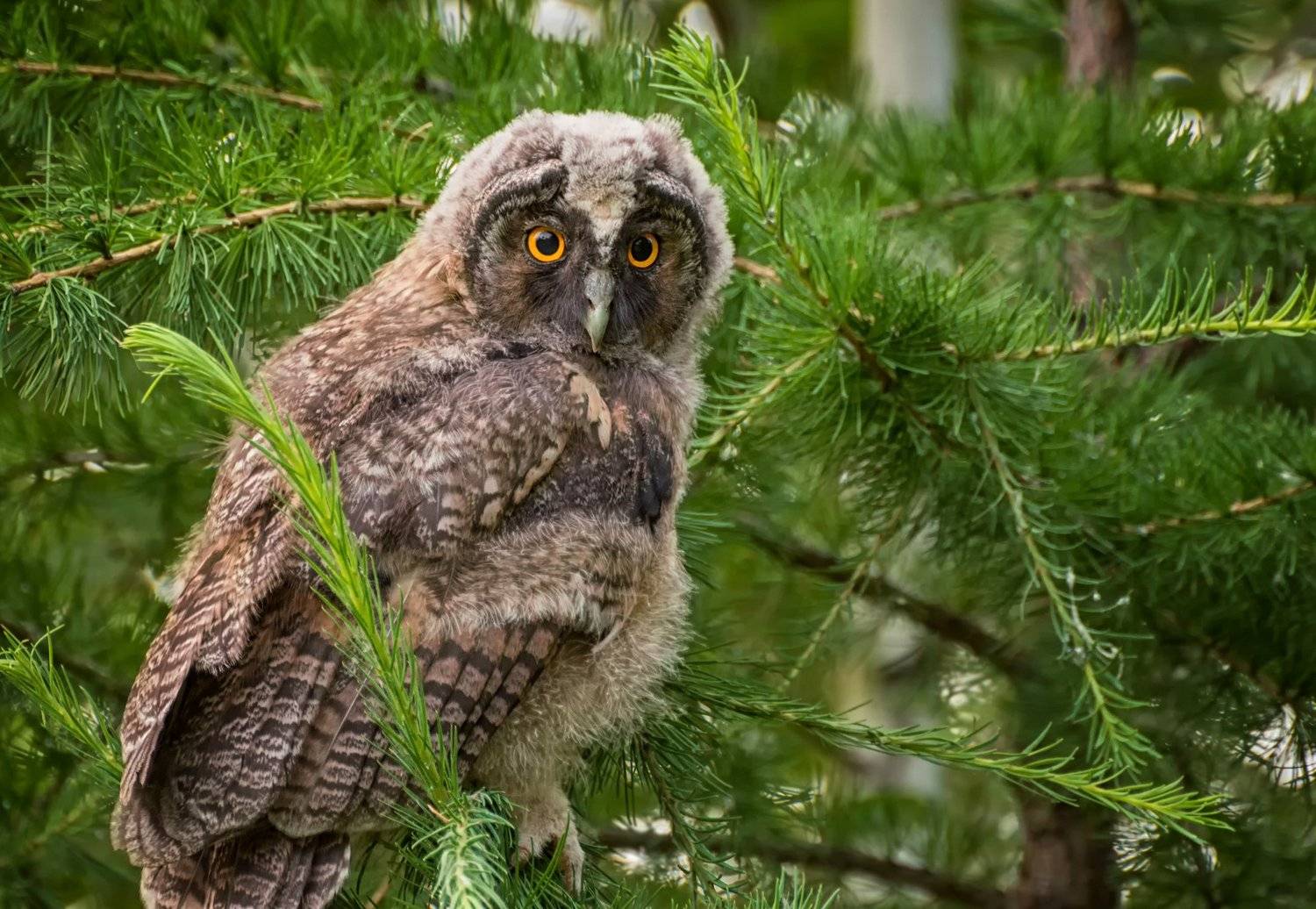 , Марина Мочалова