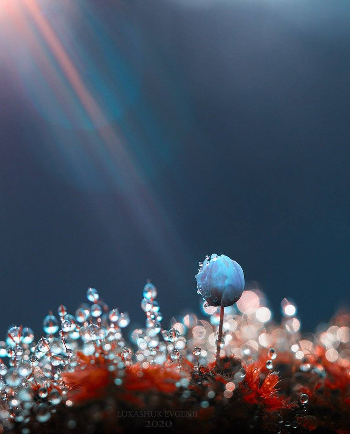 , Евгений Лукашук