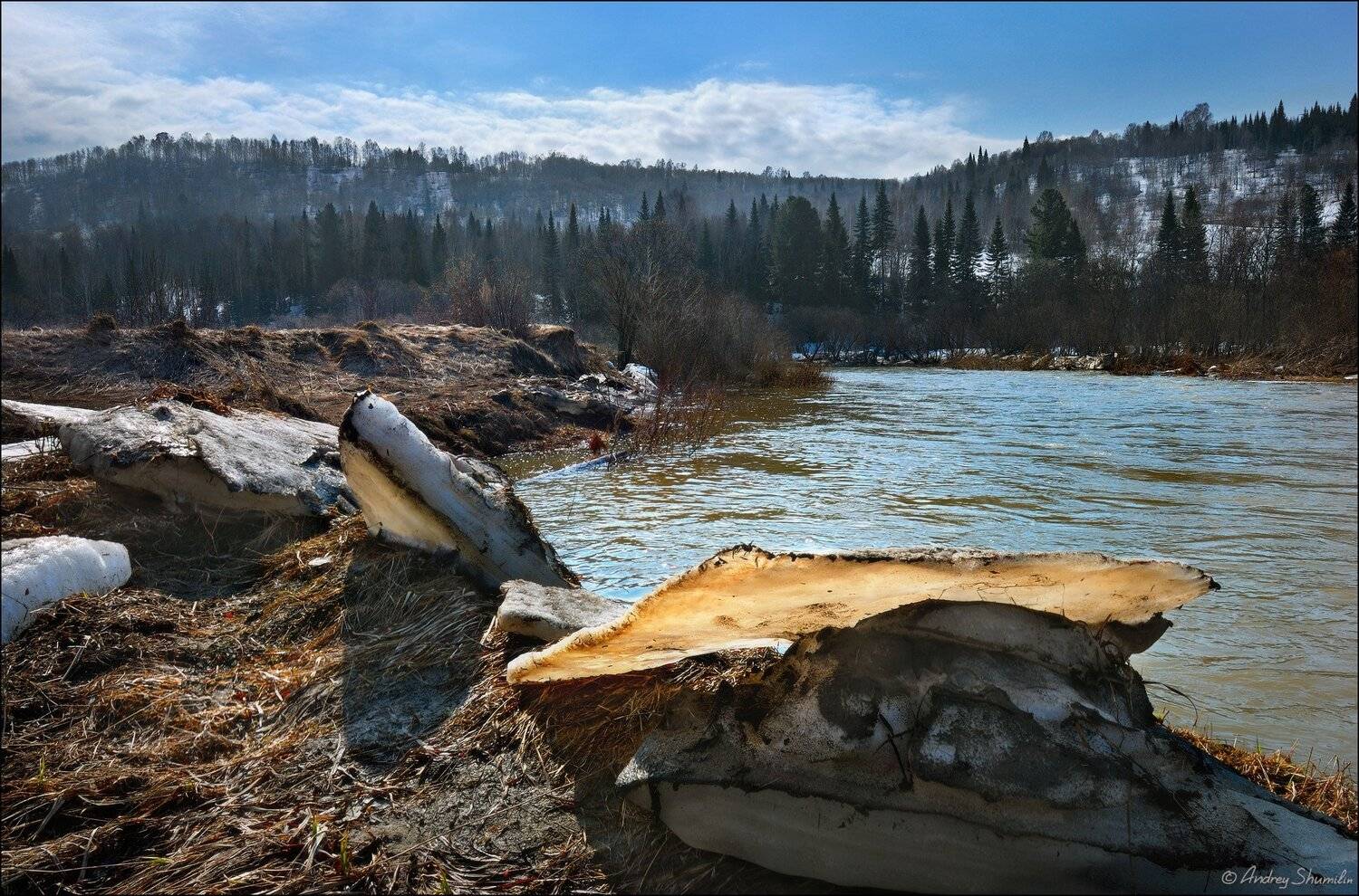 , Андрей Шумилин
