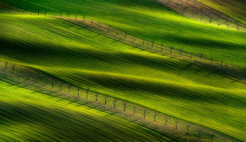 Fields... фото превью