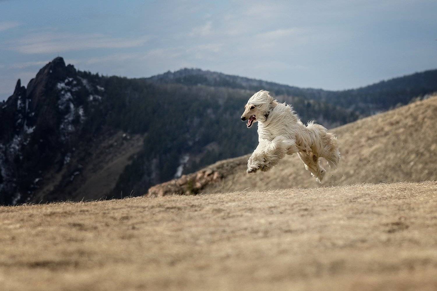 , Андрей Ершов