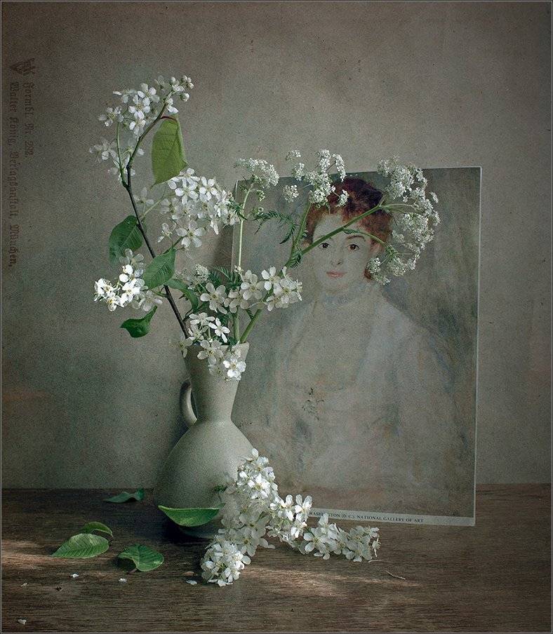 , Stein Georg