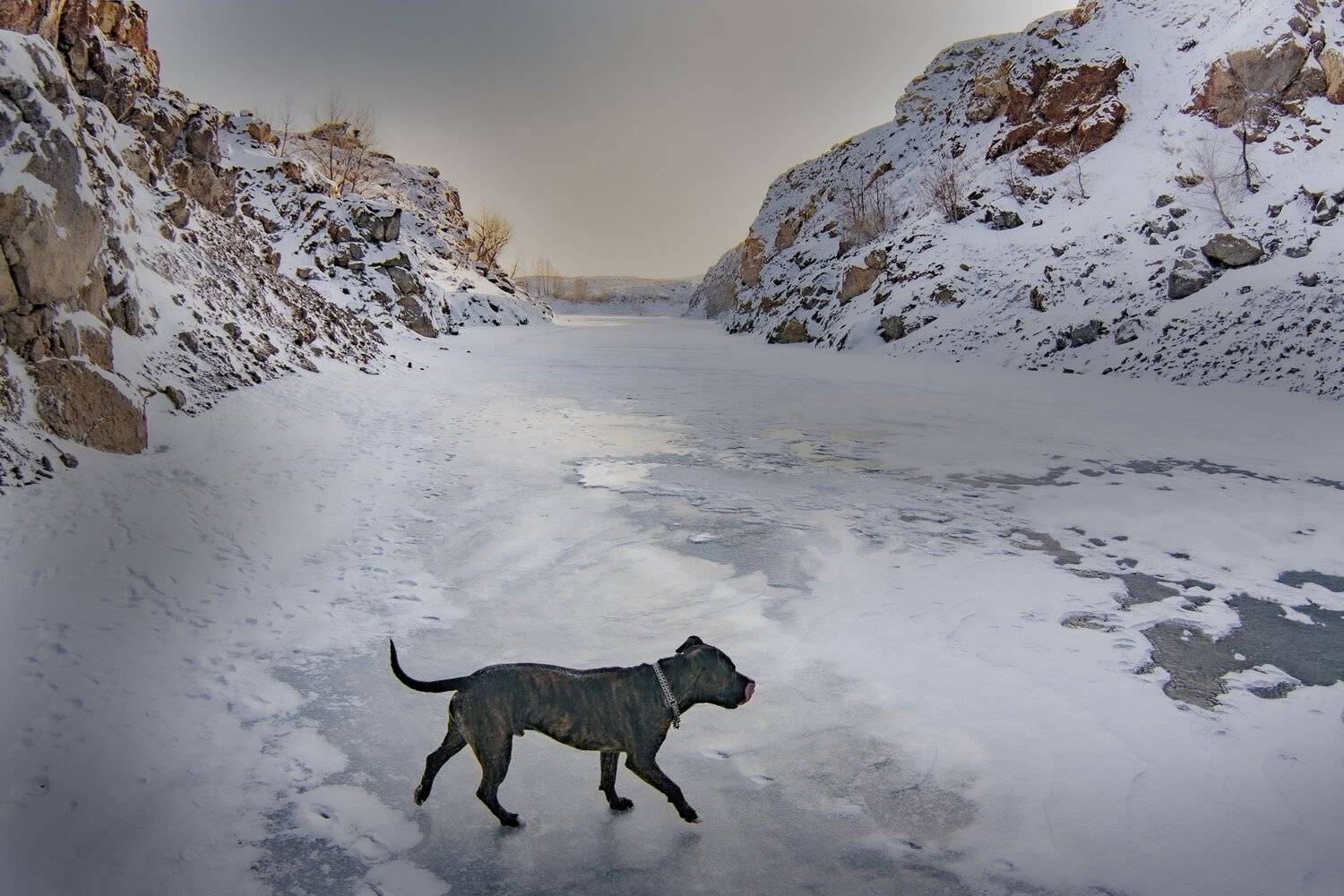 озеро Забой , петр чиков