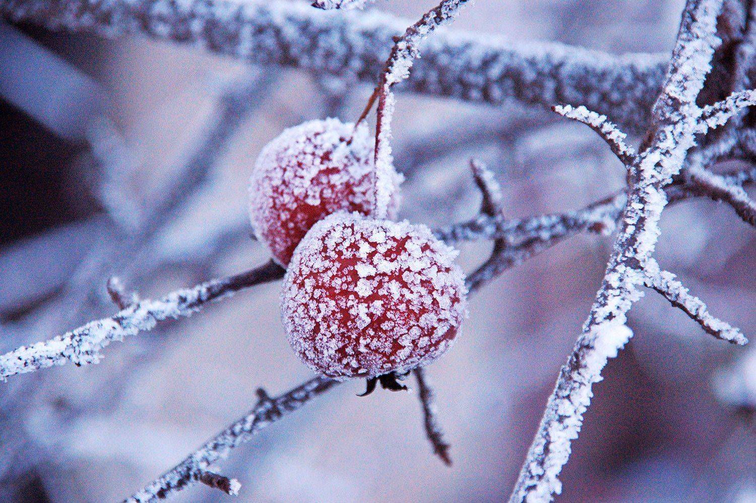 , Дарья Васильева