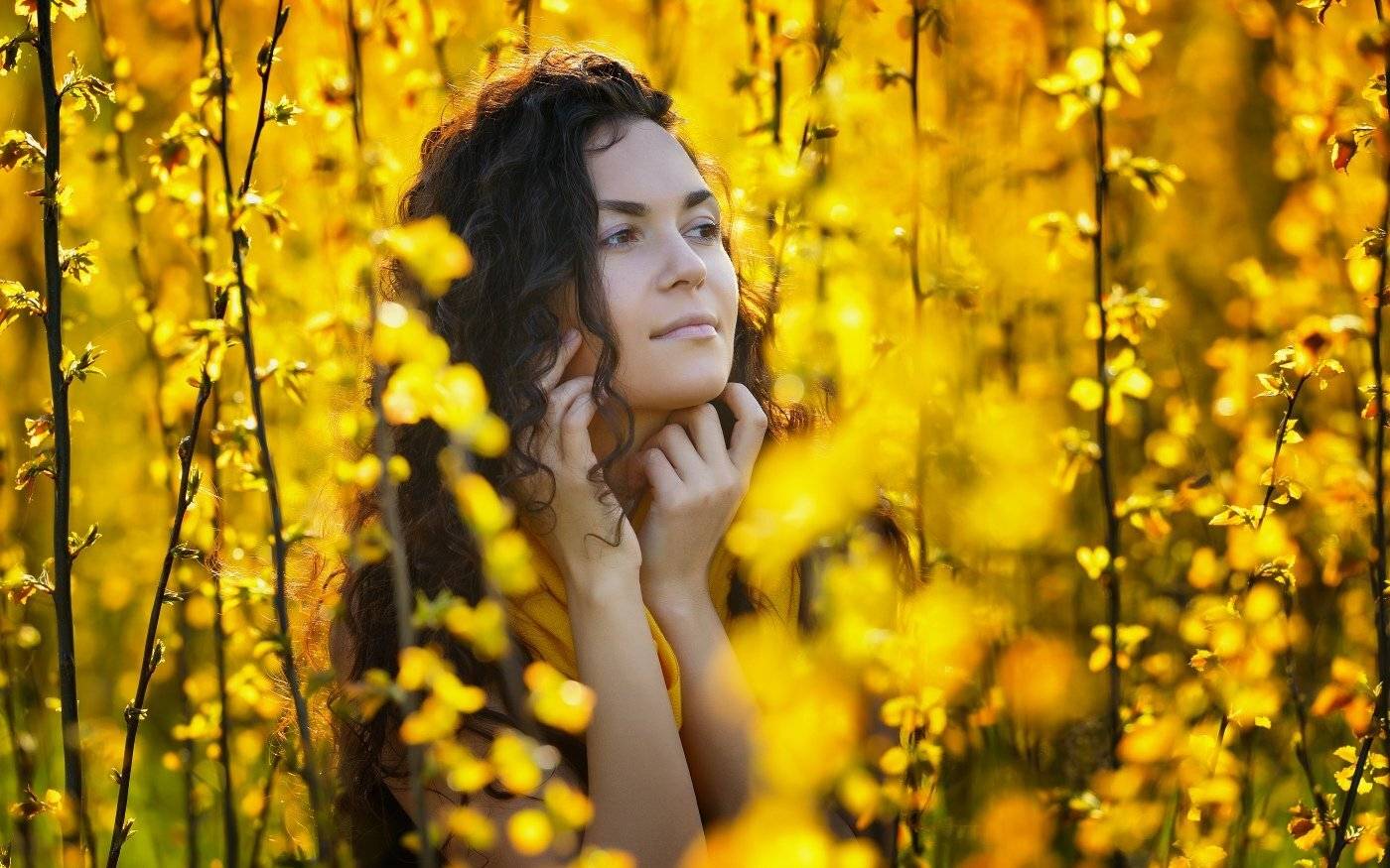 , Никитин Николай