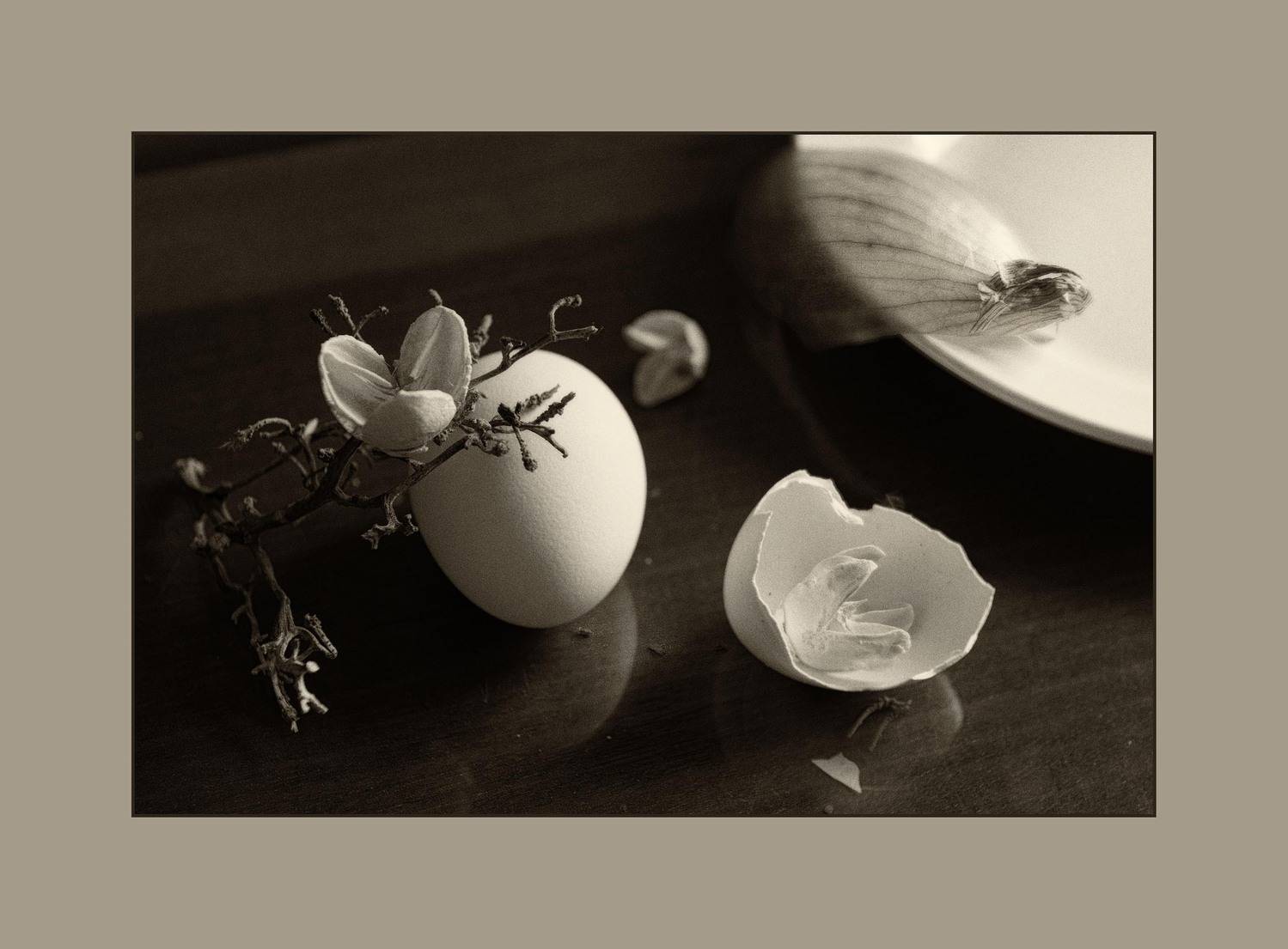 , Ирина Данилова