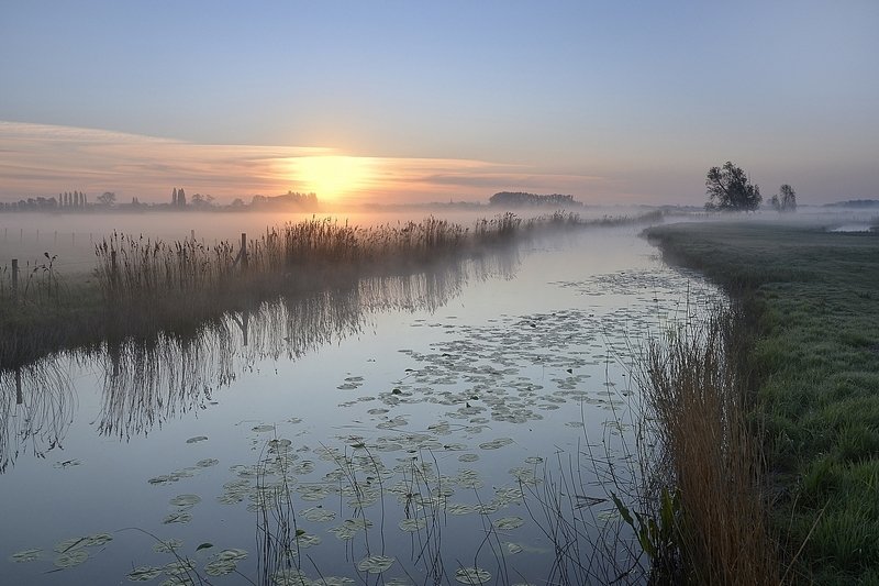 Early in the morning. фото превью