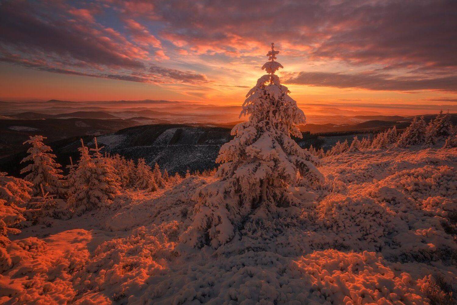 winter,mountains,canon,sunrise, Iza i Darek Mitręga