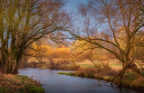 Свет апреля...