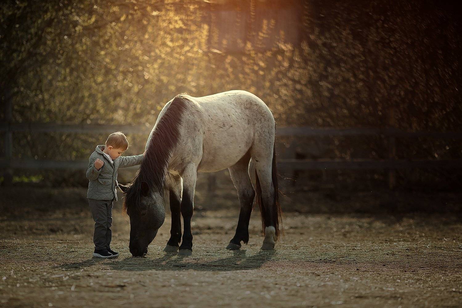 мальчик, лошадь, конь, конюшня, контровик, конторой свет, закат, солнышко, вечертоп фотограф, детский фотограф, семейный фотограф, детская фотография, детский портрет, портрет, портретный фотограф, известный фотограф, фотограф Валерия мороз, сказочная рет, Валерия Мороз