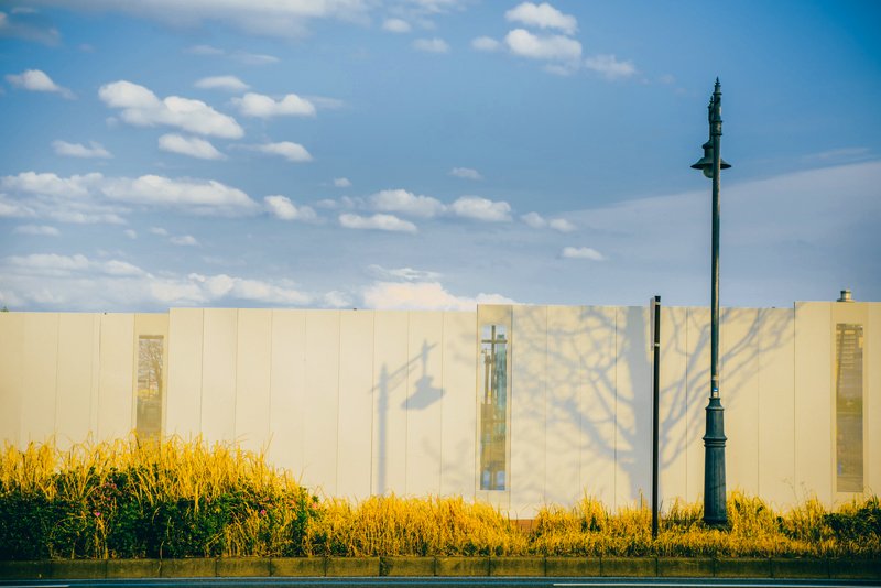 sky shadow tree road 影踏み фото превью