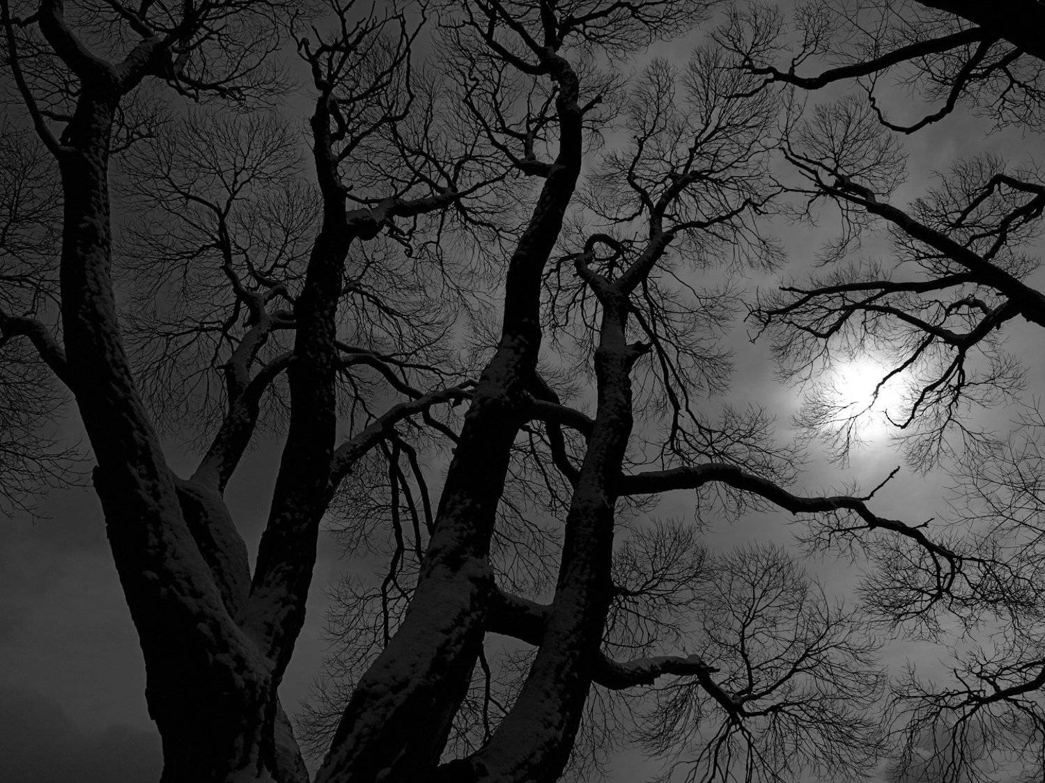 сумерки ветви графика, Александр Зорин