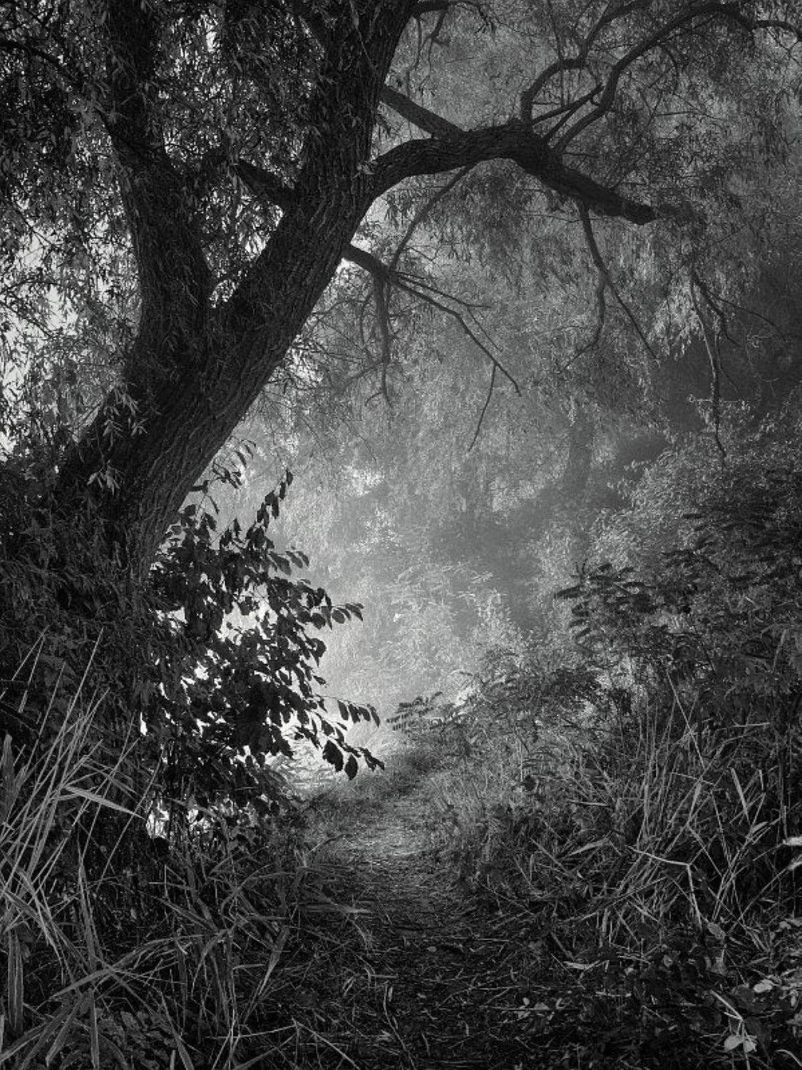 , Сергей Фудиненко