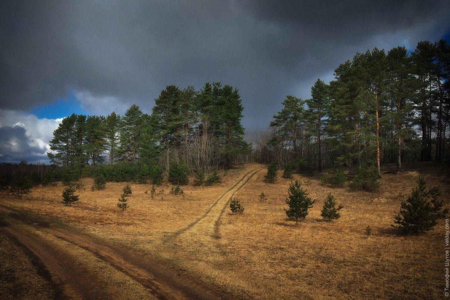 валдай, Тимофей Шутов