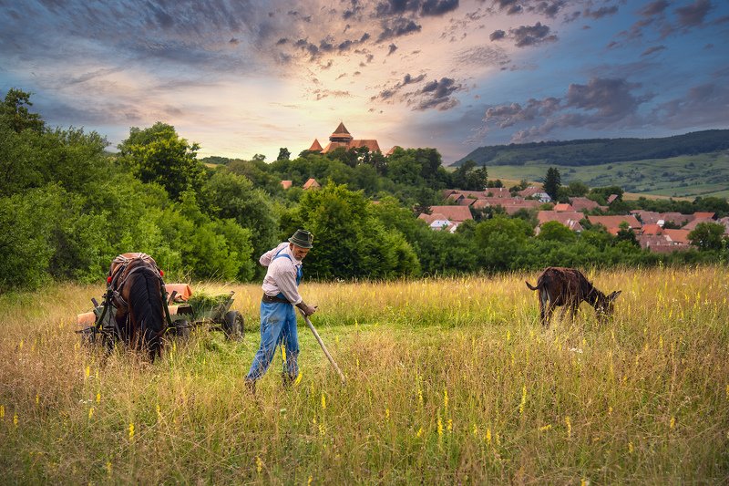 *** фото превью