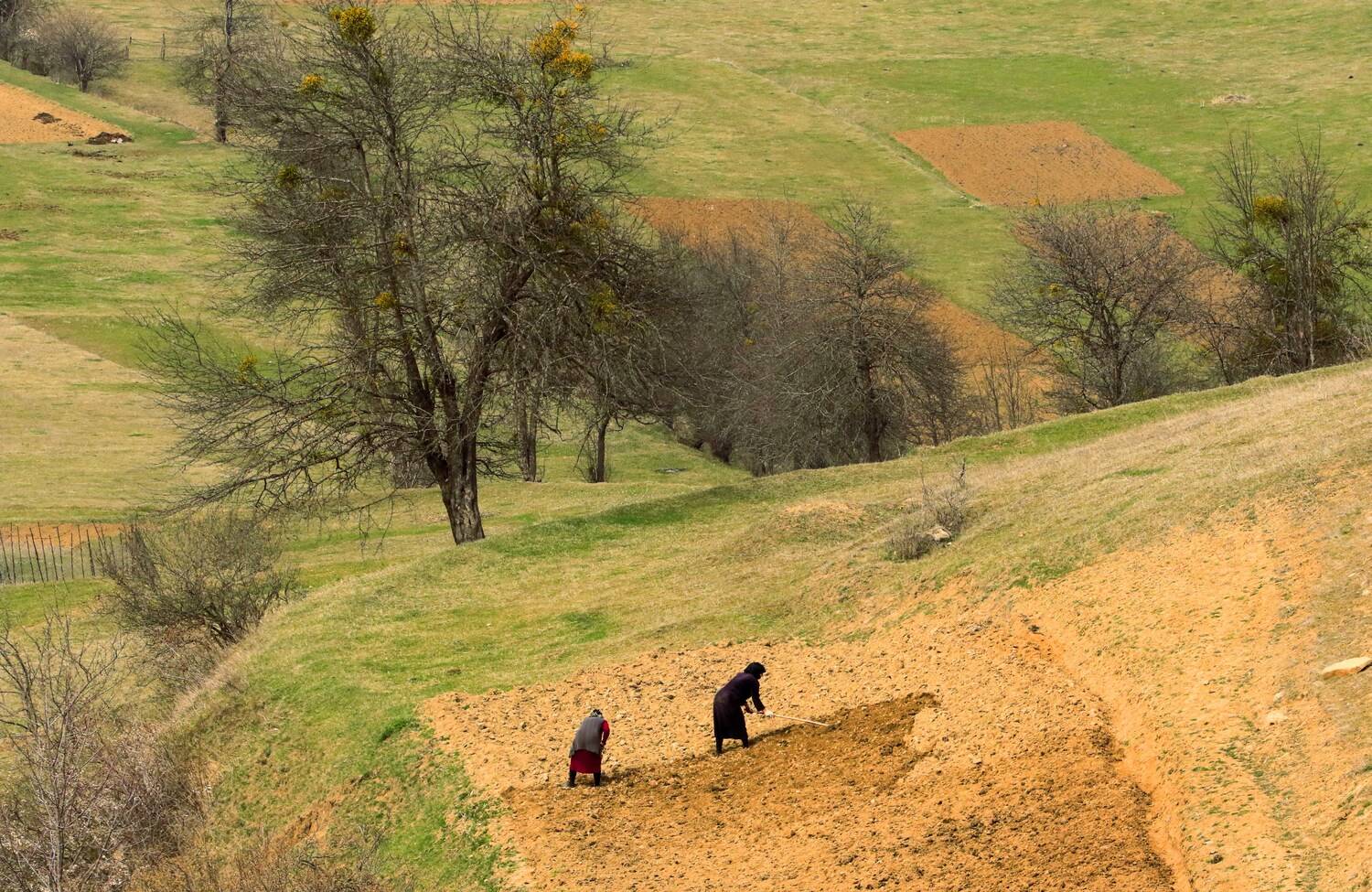 посевная работа,огород,горы,люди,дагестан,, Marat Magov