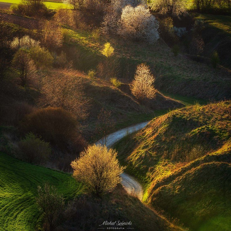 Spring... фото превью