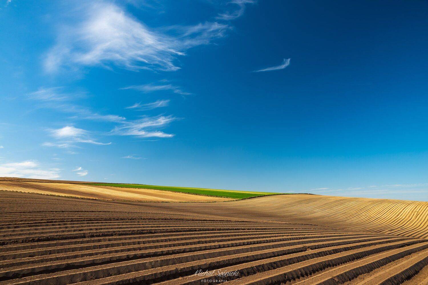 #spring #tree #poland #landscape #windows, Michał Sośnicki