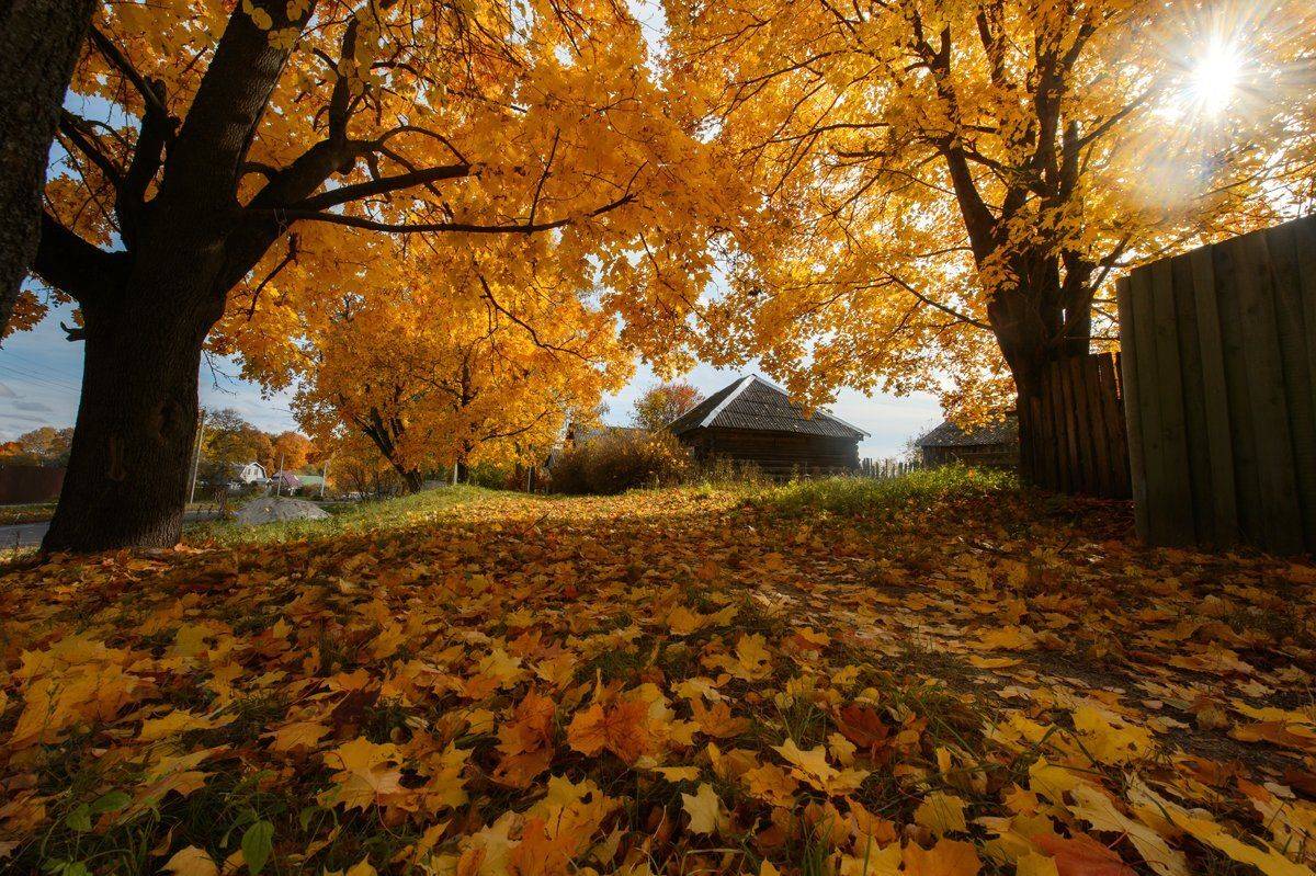 , Юлия Лаптева