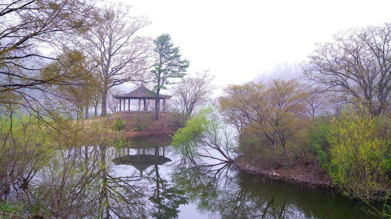 south korea, choongcheongnamdo, spring, springtime, lake, tree, fog, new leaves, reflection, octagoral, morning Springtime scenery фото превью