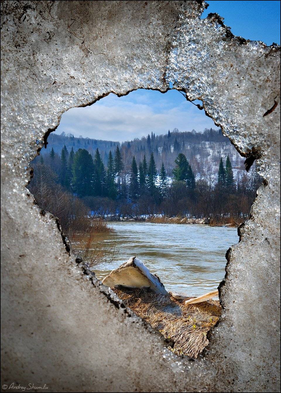 , Андрей Шумилин