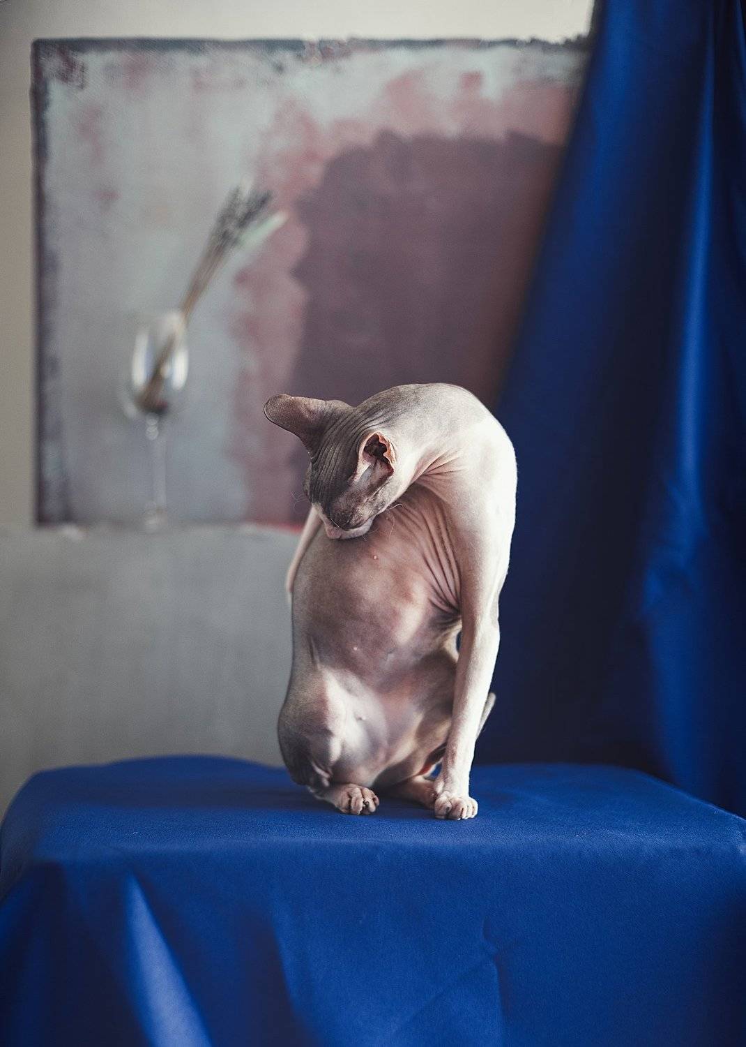 , Игорь Крюков