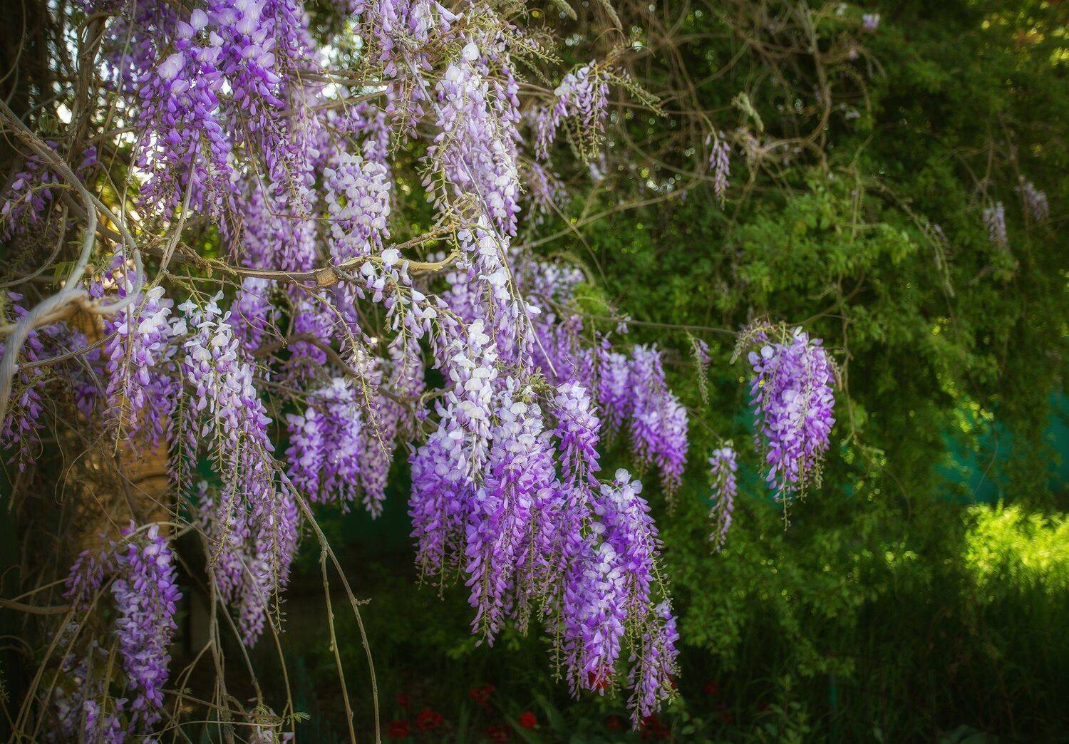 , Павел Сагайдак