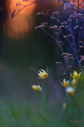 После заката