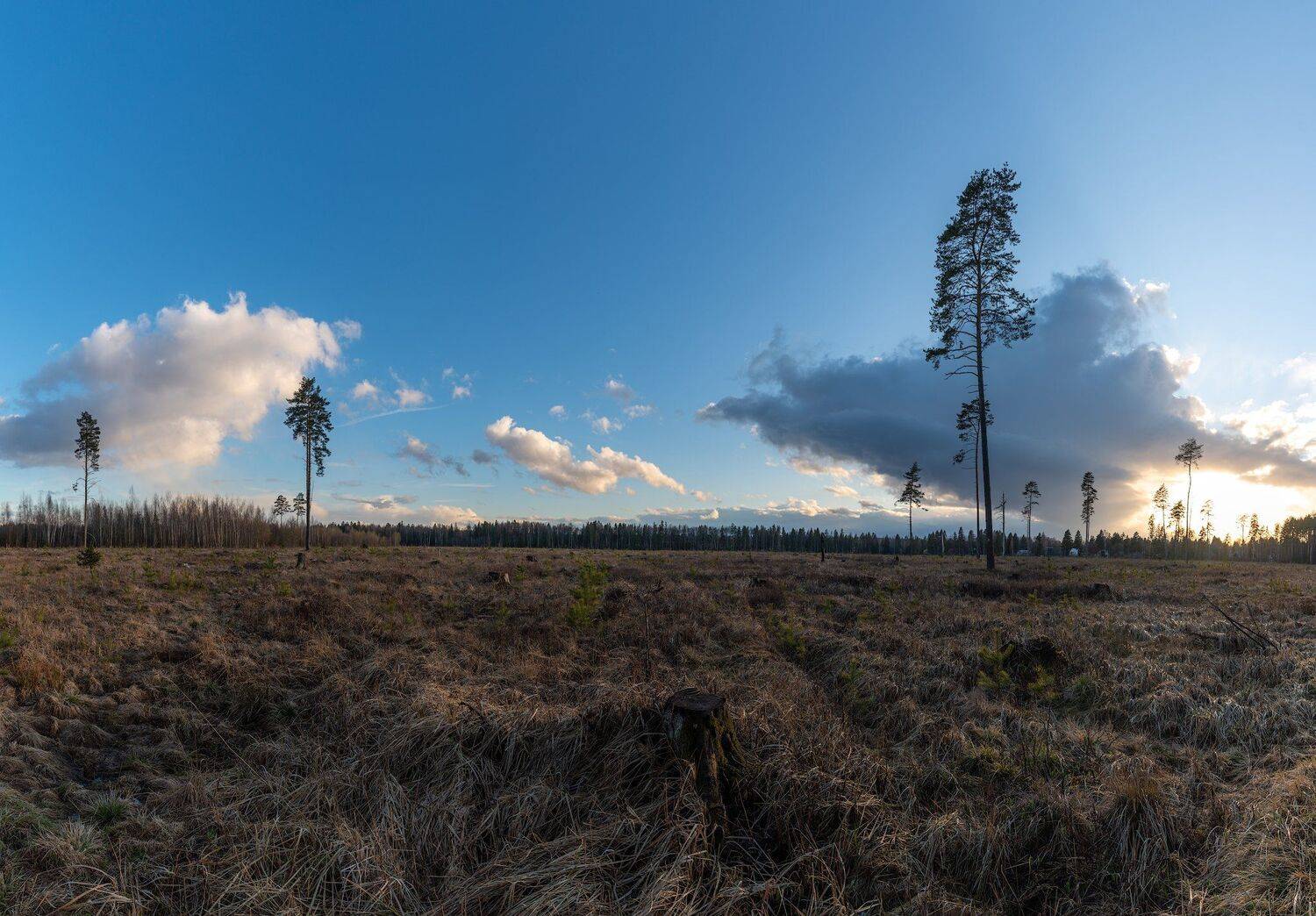 , Константин Дэм