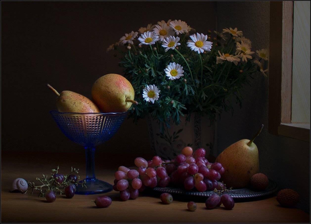 , Stein Georg