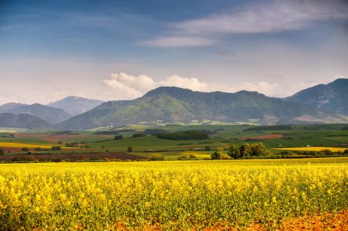 Апрель в Словакии