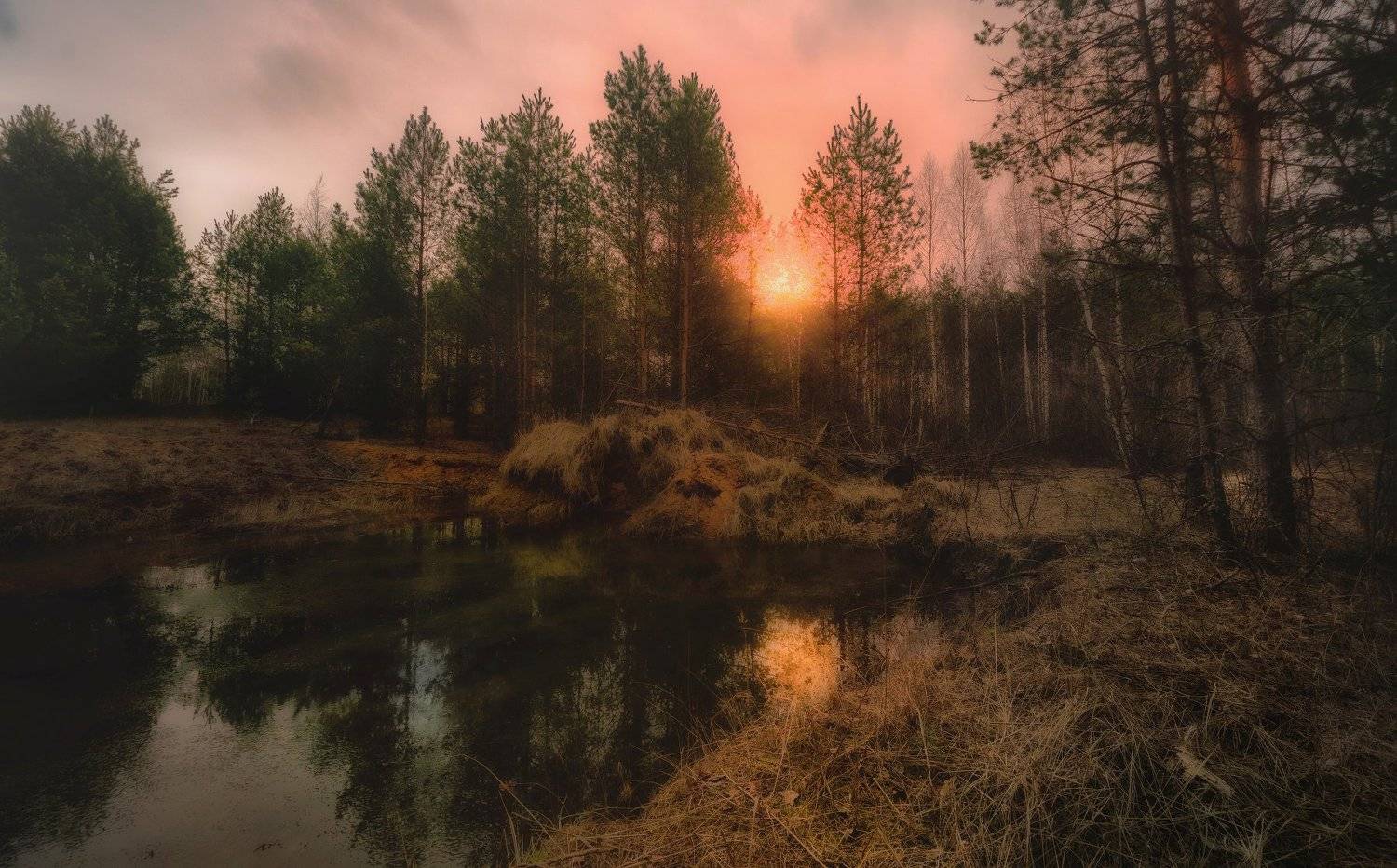 , Сергей (Bekr)